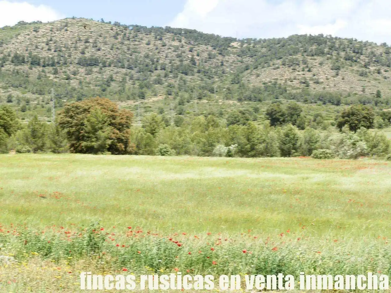Terreni e lotti in vendita a Elche de la Sierra, imagen 14