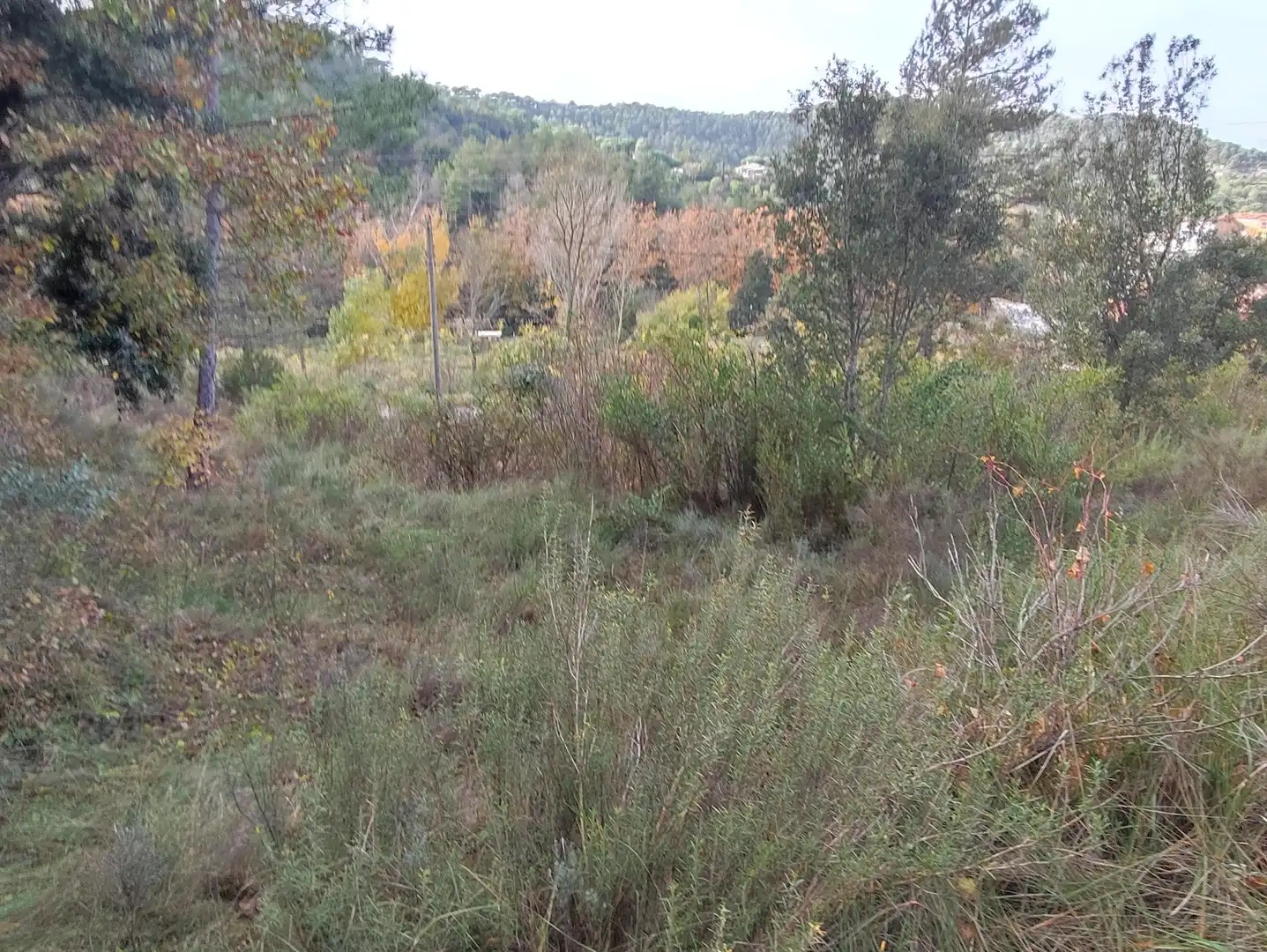 Terrain rustique à vendre à Monistrol de Calders, imagen 20