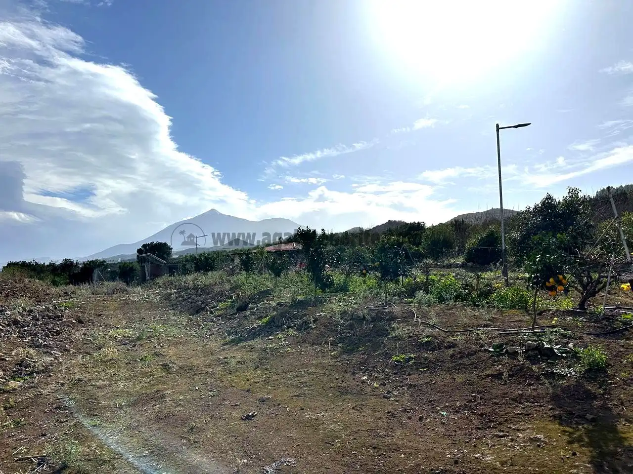 Finca rústica en venda en El Tanque