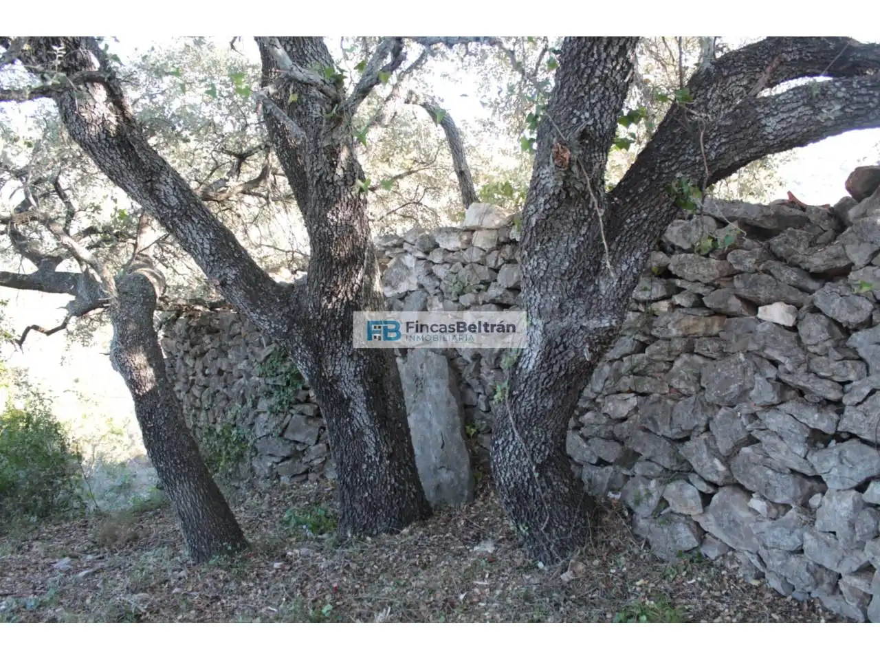 Rural land for sale in Poligono 36, parcela 240, imagen 9