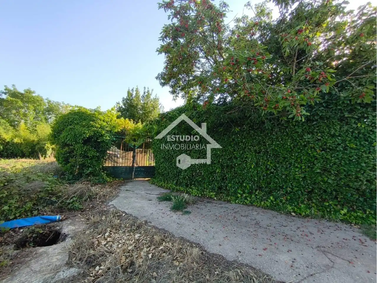 Rural land for sale in Calle carretera de la barca, imagen 38
