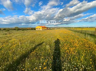 Lands and plots for sale in Sierra de Fuentes