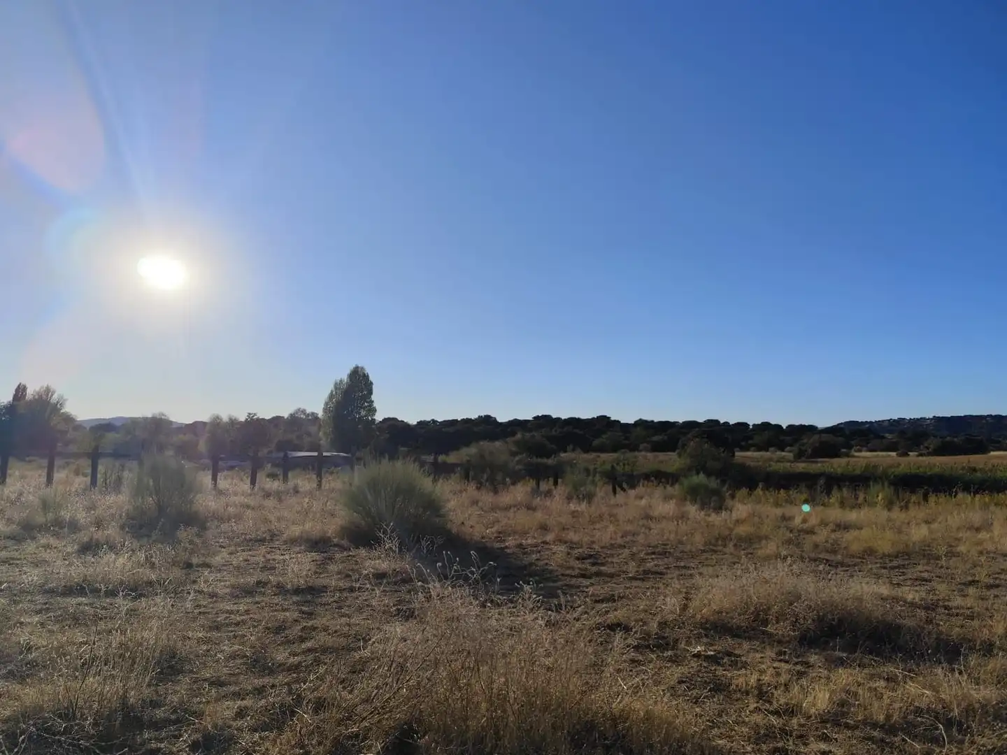 Terreno en venta en Brunete