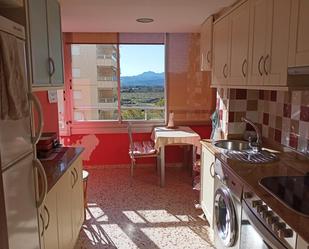 Kitchen of Apartment to rent in Cullera  with Terrace