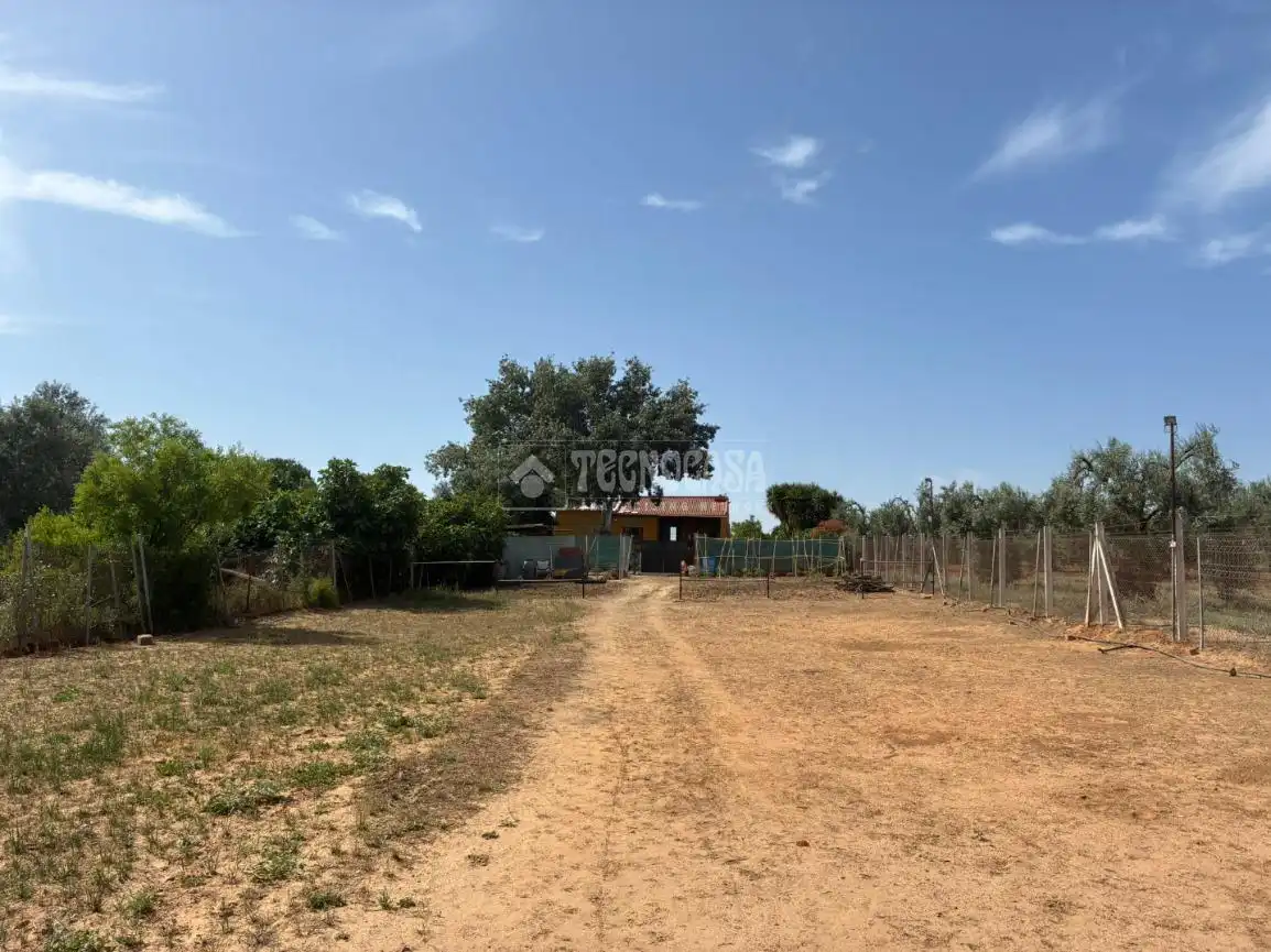 Country homes for sale in Pilas  with Private garden