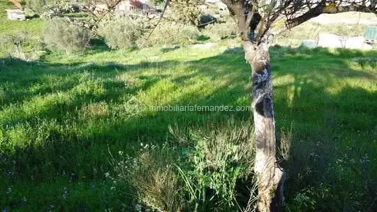 Terreni e lotti in vendita a Sierra de Fuentes, imagen 7
