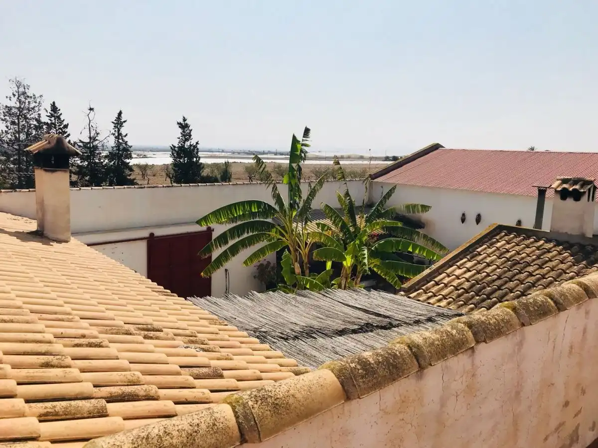 Villa mit Terrasse zum Verkauf in Pedanías Oeste, imagen 19