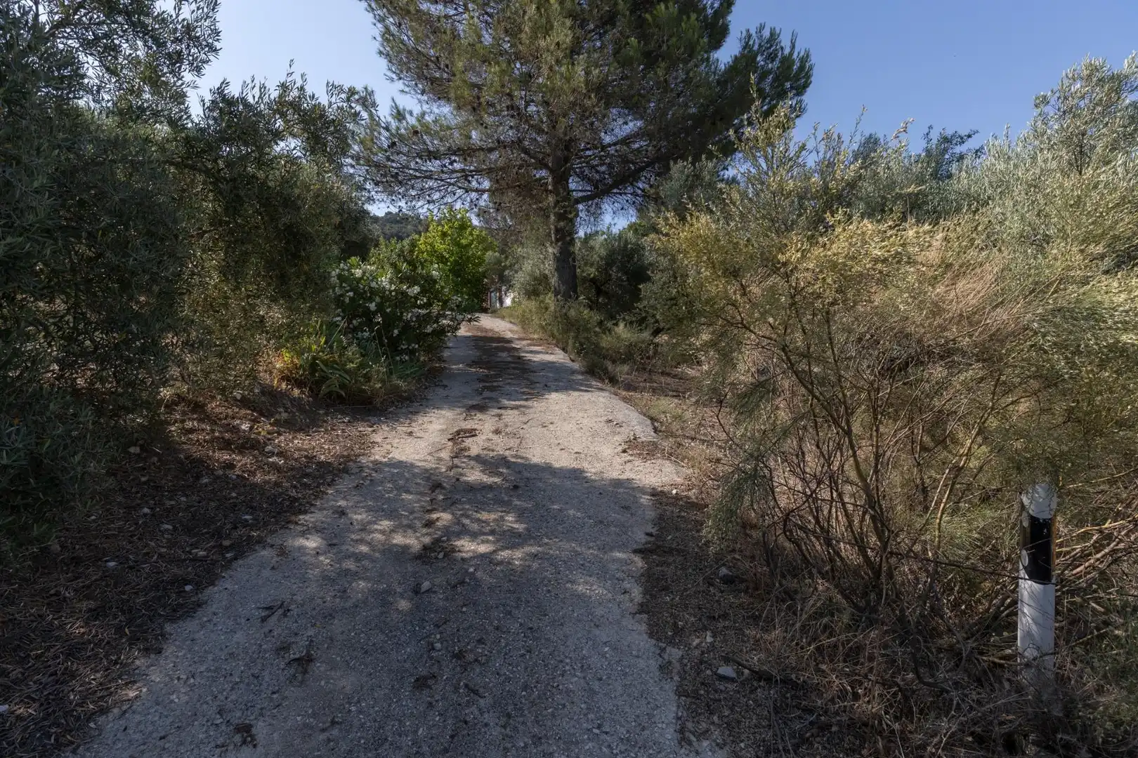 Terreni e lotti in vendita a Lugar Lugar del Cortijo Aguadero, imagen 20