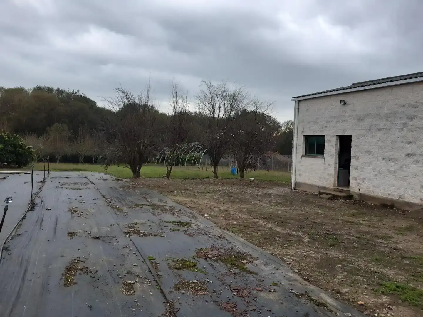 Fabrikhallen zur Miete in Mugardos