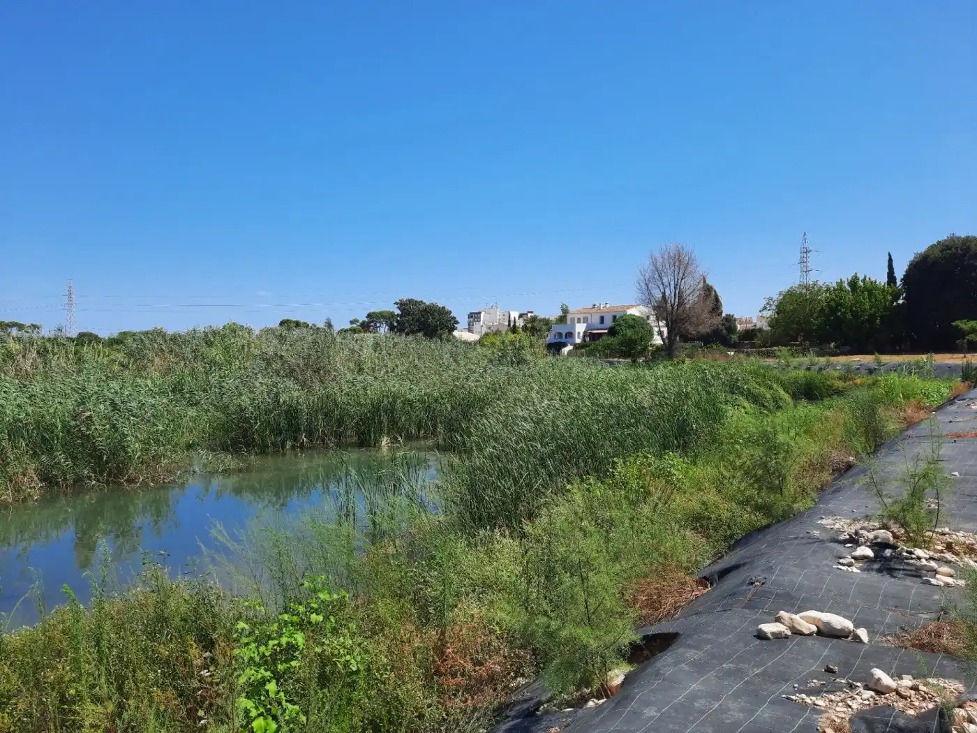 Vista exterior de Finca rústica en venta en Ondara con Aire acondicionado, Calefacción y Jardín privado