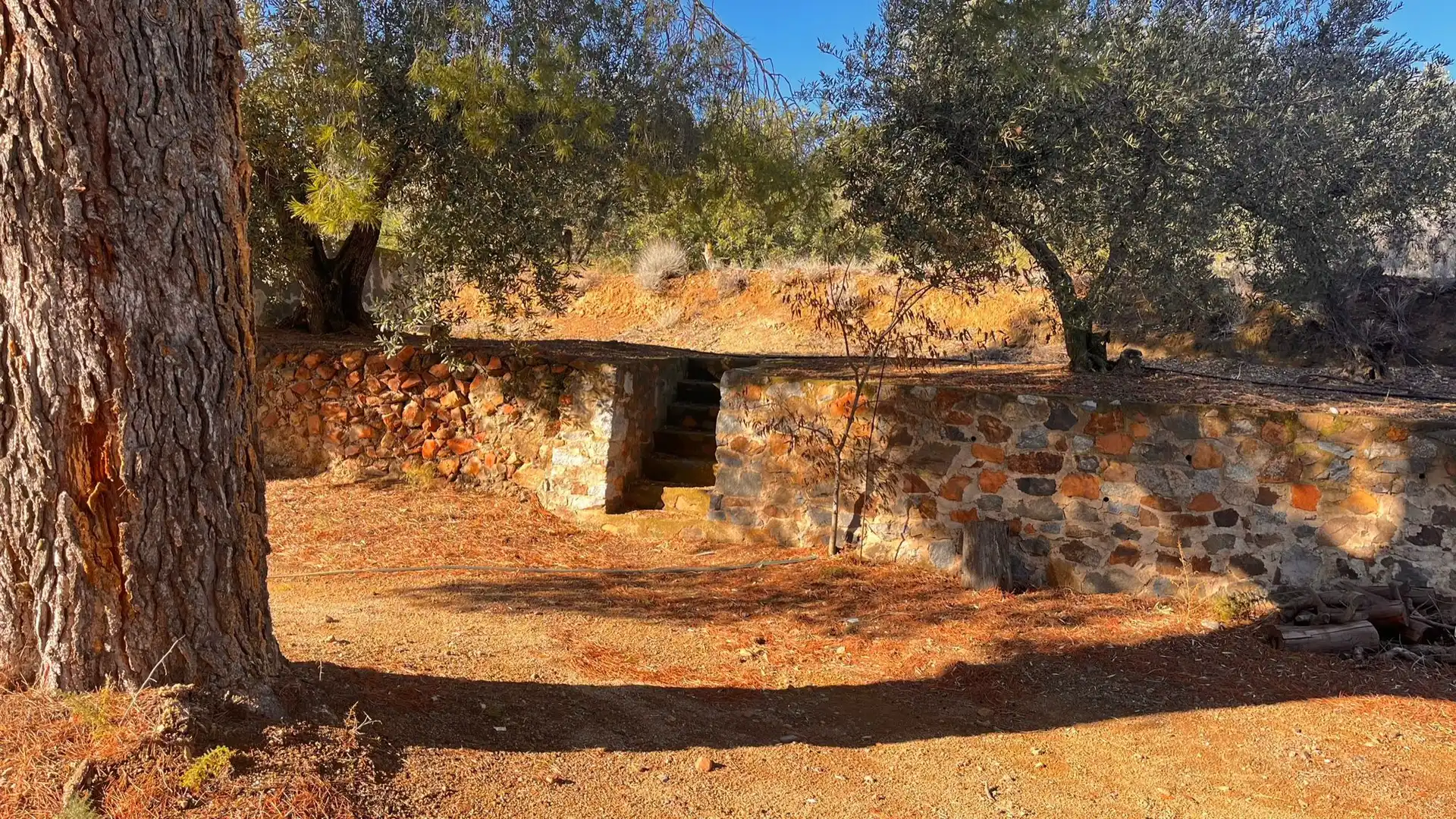 Terreno rustico in vendita a Carrer de Sant Abdó i Sant Senén, imagen 15
