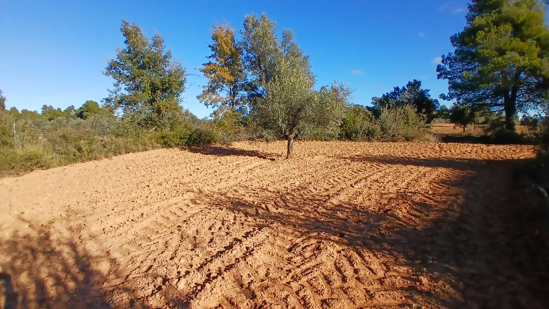 Terreno rustico in vendita a N/A, imagen 13