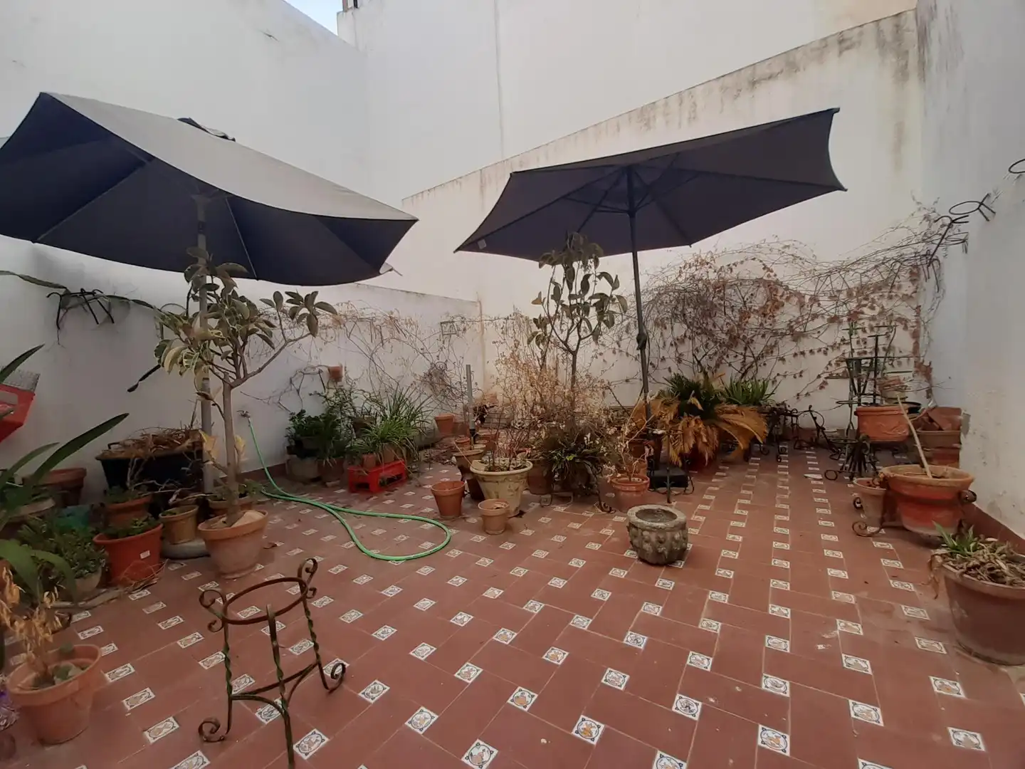Terrace of Flat for sale in Casco Antiguo