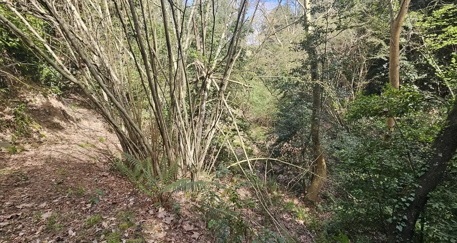 Finca rústica en venta en Sant Celoni con Aire acondicionado, Calefacción y Jardín privado