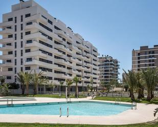 Swimming pool of Flat to rent in Alicante / Alacant  with Terrace and Balcony