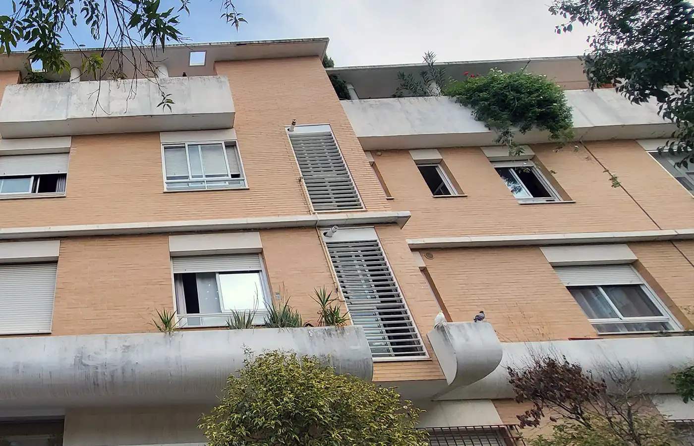 9 Viviendas y casas en venta en Calle Maestro Solano, Sevilla Capital |  fotocasa