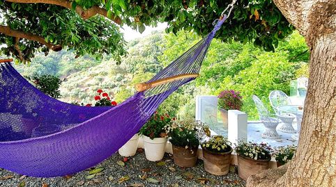 Foto 2 de Casa o chalet de alquiler en Ojén pueblo, Ojén