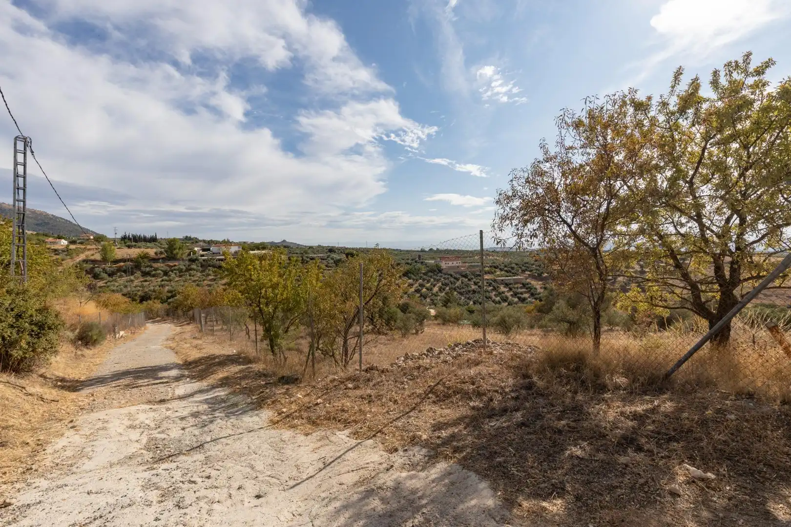 Finca rústica en venta en Cogollos de la Vega con Jardín privado y Piscina