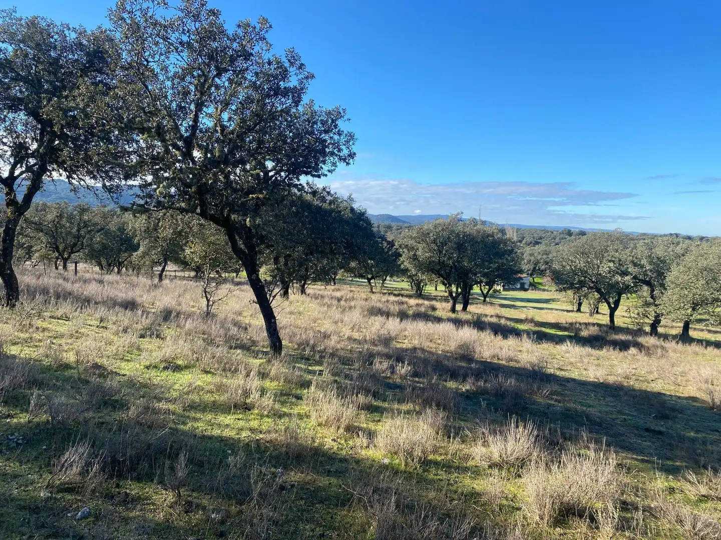 Finca rústica en venta en Buenaventura