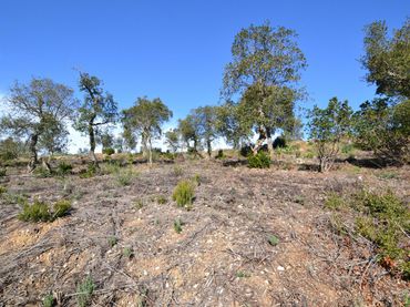 Terreny residencial en venda a Avet 17