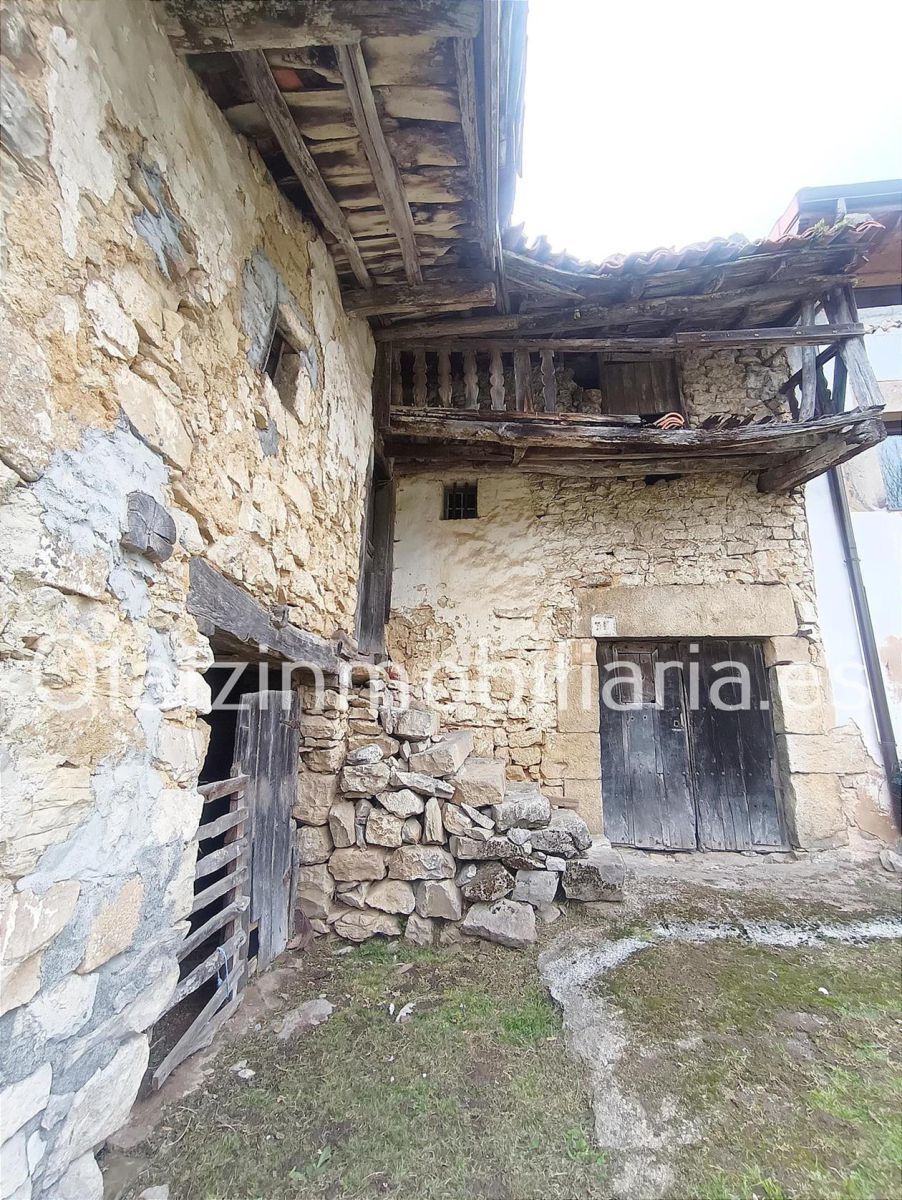Exterior view of House or chalet for sale in Trucios-Turtzioz