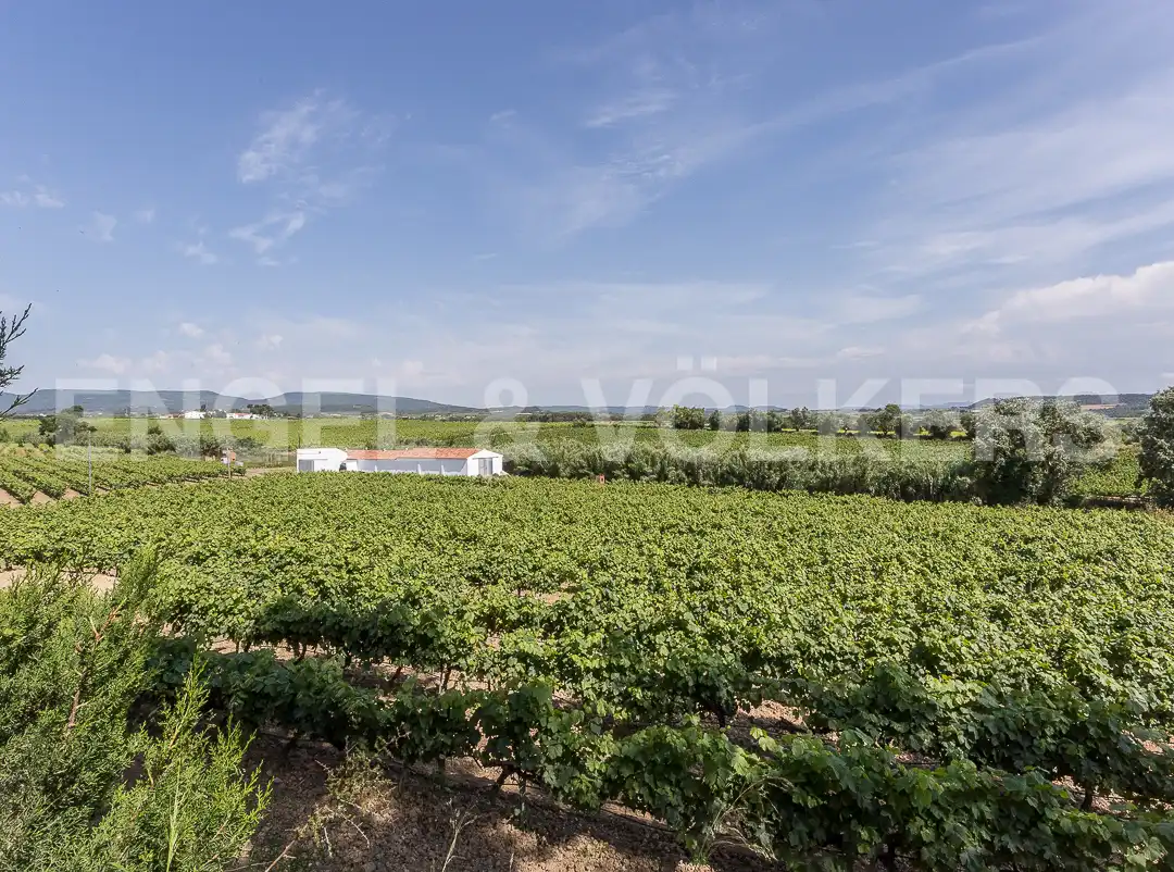 Casa o chalet en venta en Puigdàlber con Aire acondicionado, Calefacción y Jardín privado