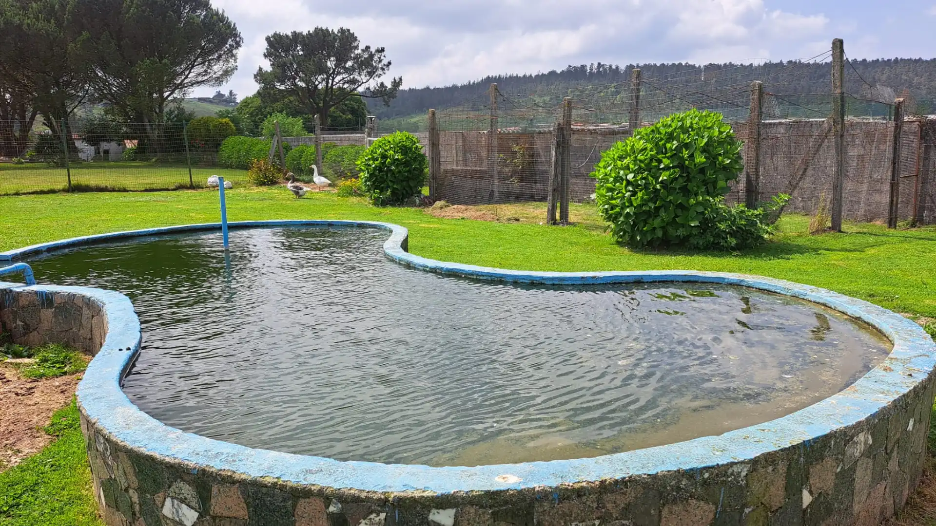 Casa o chalet en venta en Rúa Lince, Carral
