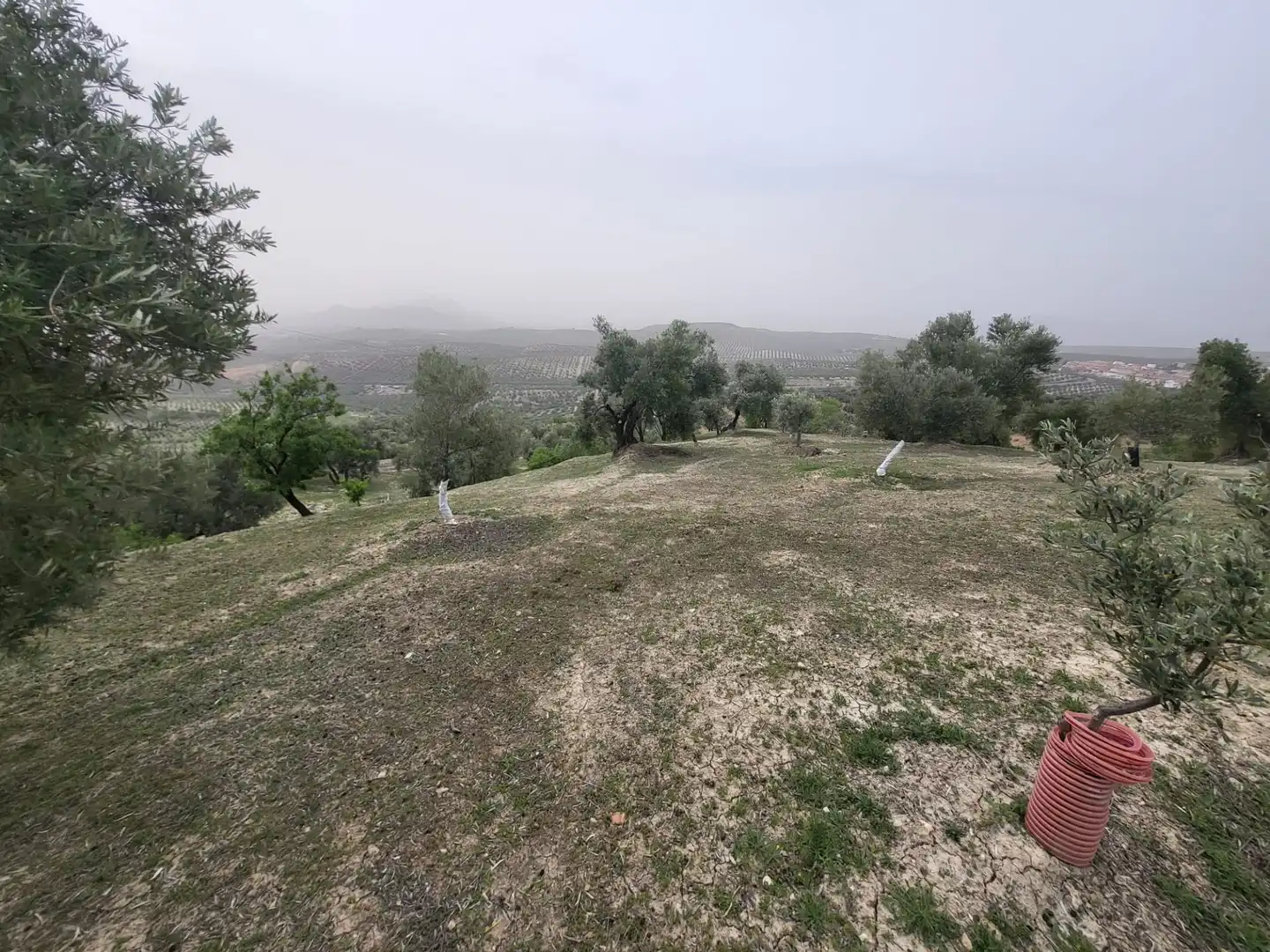 Rustikales Grundstück zum Verkauf in Güevéjar, imagen 9
