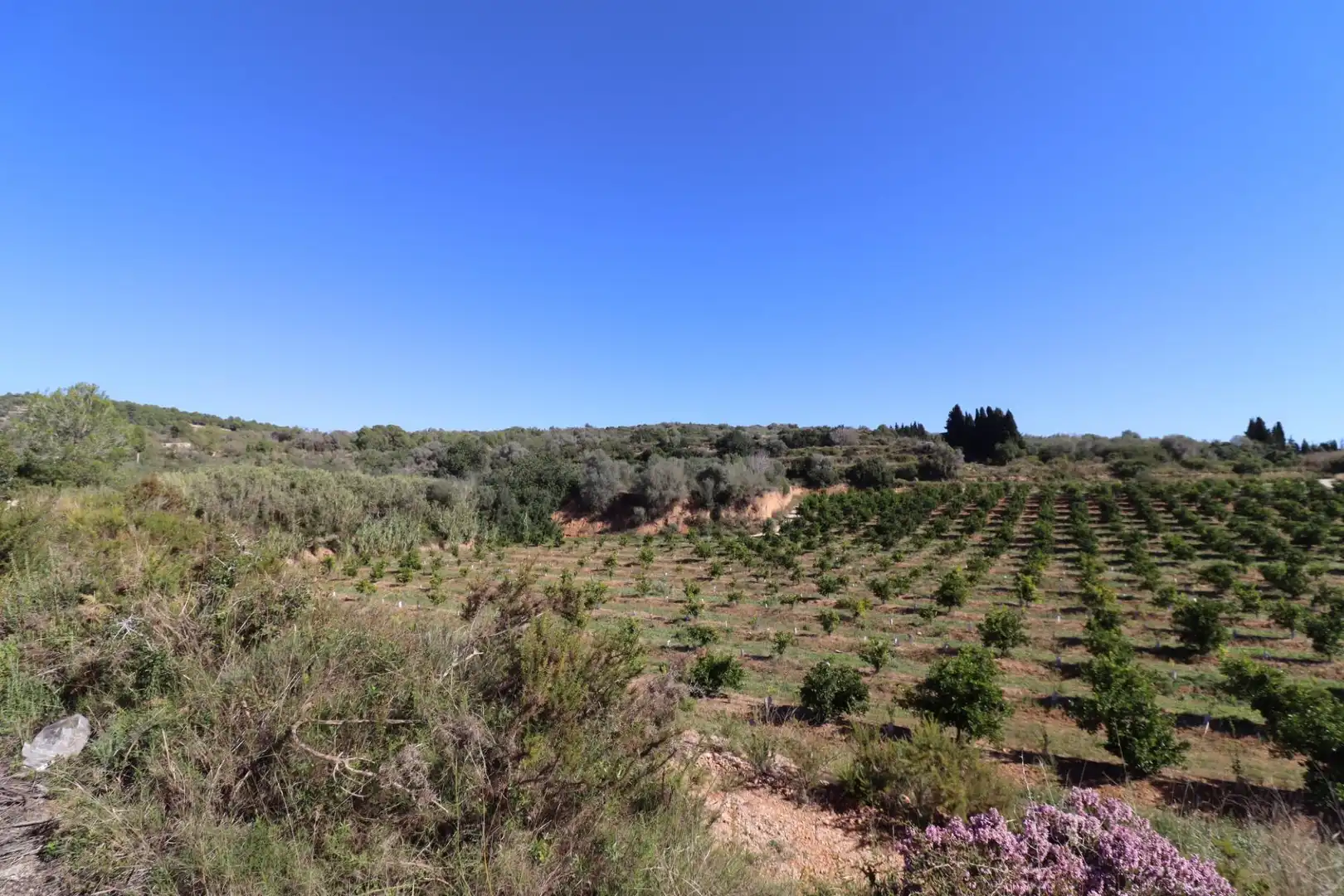 Grundstücke zum Verkauf in Ulldecona