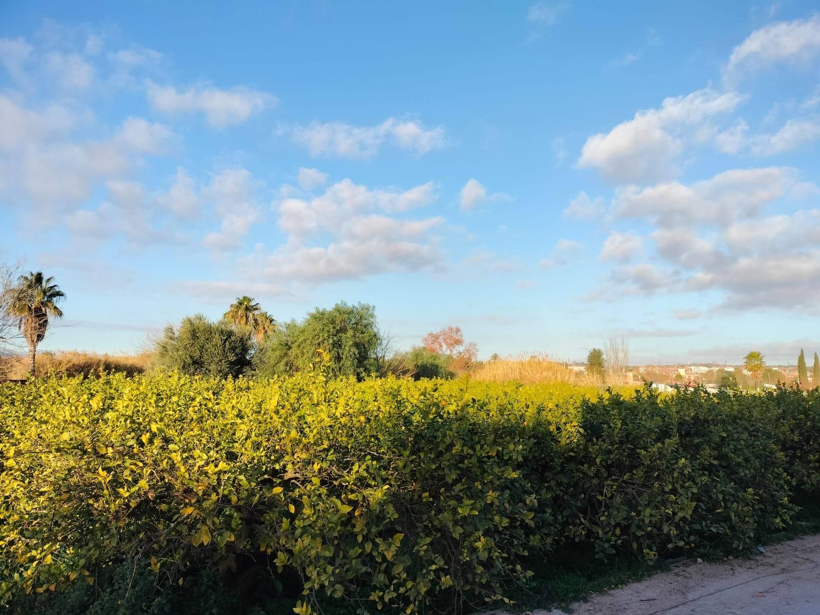 Exterior view of House or chalet for sale in  Murcia Capital  with Private garden