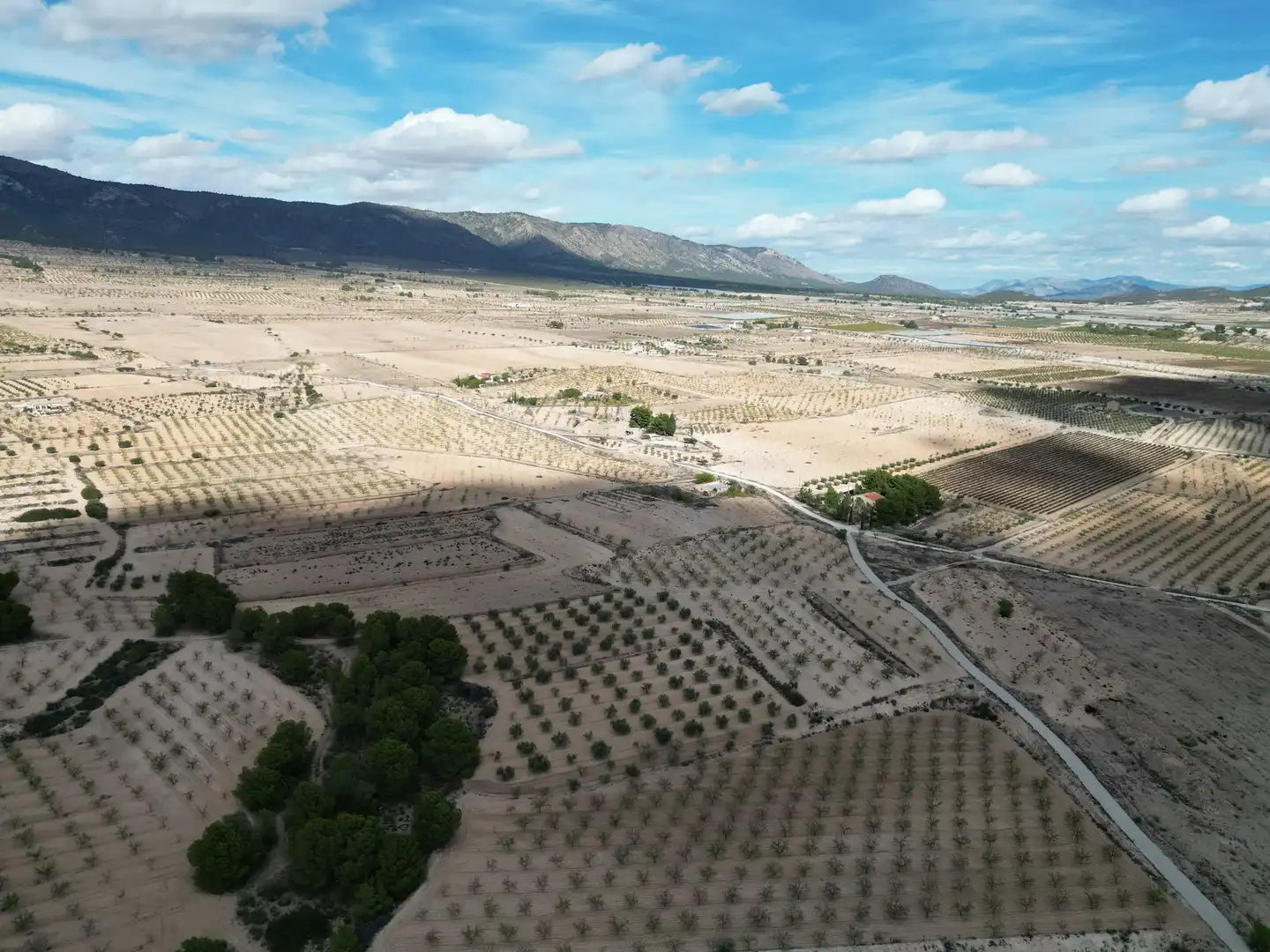 Terreno residencial en venta en El Pinós / Pinoso, imagen 7