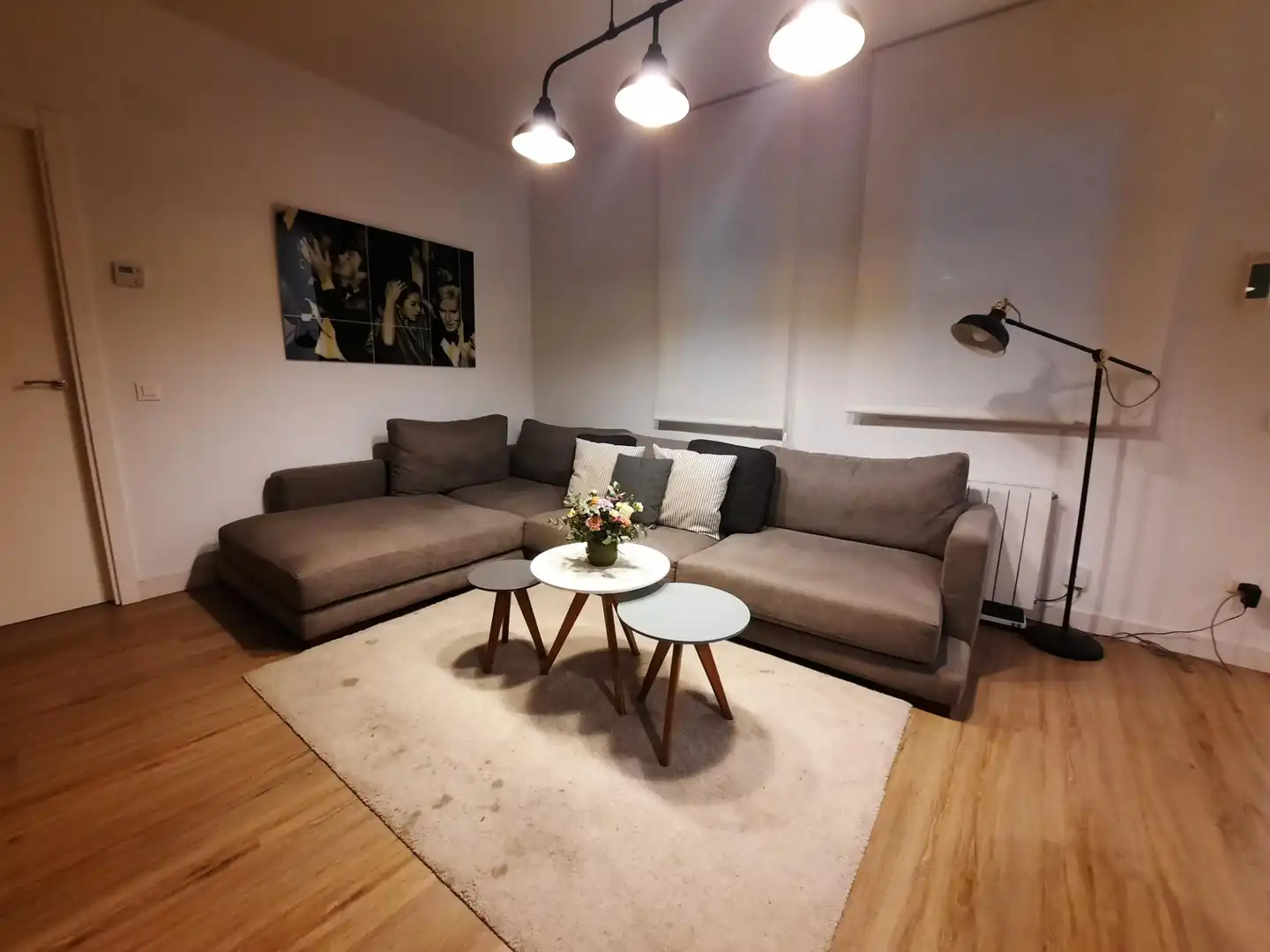 Living room of Flat for rent in  Madrid Capital  with Heating, Parquet flooring and Furnished