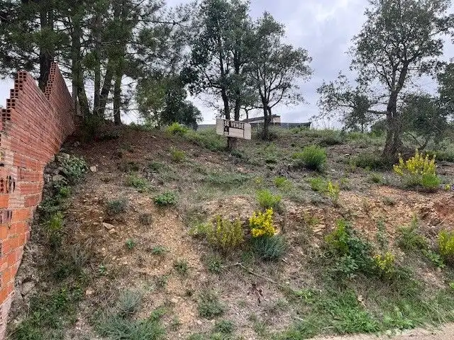 Terrain résidentiel à vendre à Urbanizacion Mas Llunes 1613, imagen 3