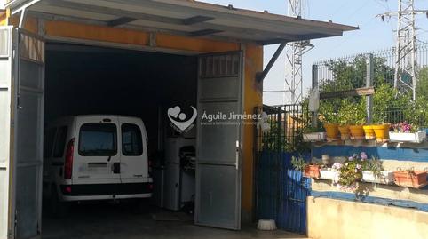 Photo 4 of Land for rent in La Paz, Alcalá de Guadaira