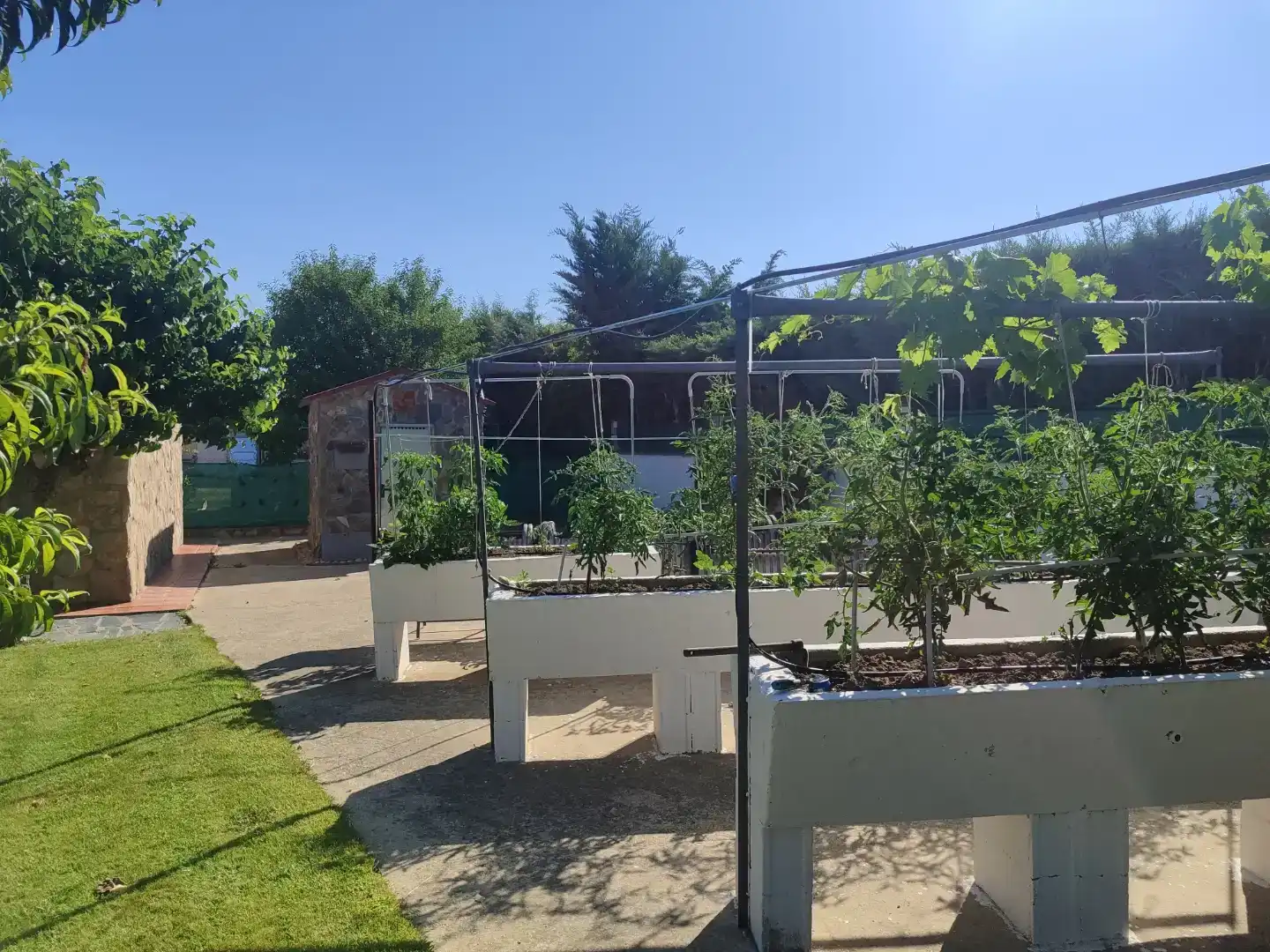 Jardín de Casa o chalet en venta en Calvarrasa de Abajo