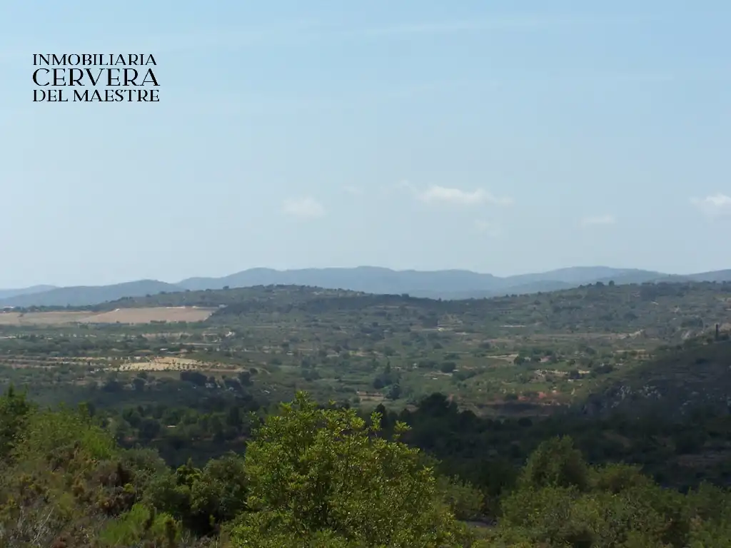 Rural land for sale in Cervera del Maestre, imagen 24