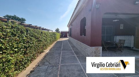 Foto 5 de Finca rústica en venda a Las Tres Piedras - Costa Ballena, Chipiona