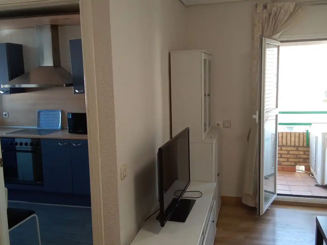 Sala d'estar de Pis de lloguer en Sur
