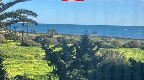Foto 2 de Piso en venta en Calle Pleamar, Punta Prima, Torrevieja