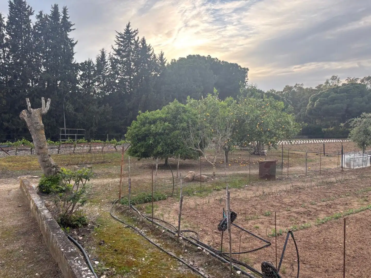 Casa rústica en venda a Arcos de la Frontera, imagen 32