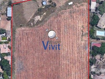 Terreni e lotti in vendita a Nueva Alcalá