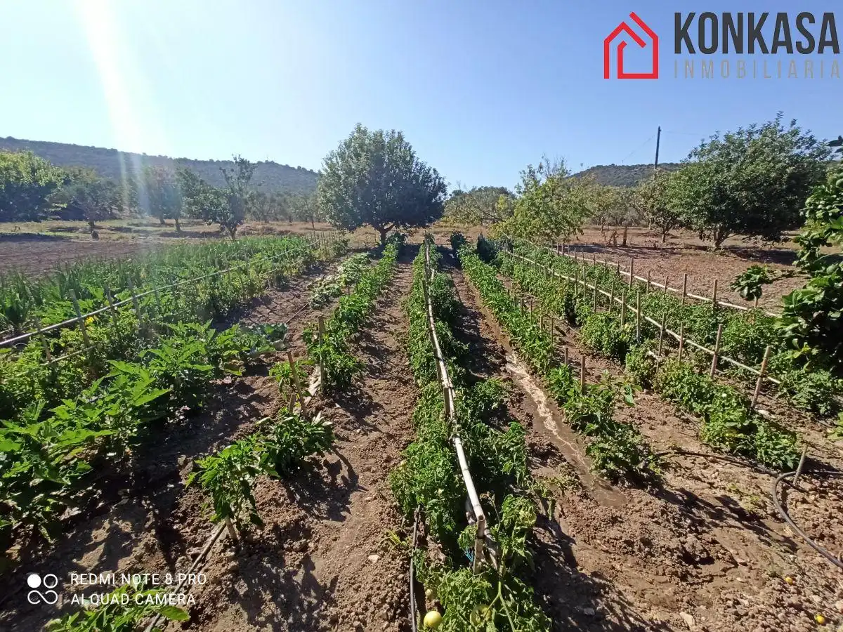 Chalet en venta en Arcos de la Frontera, imagen 30