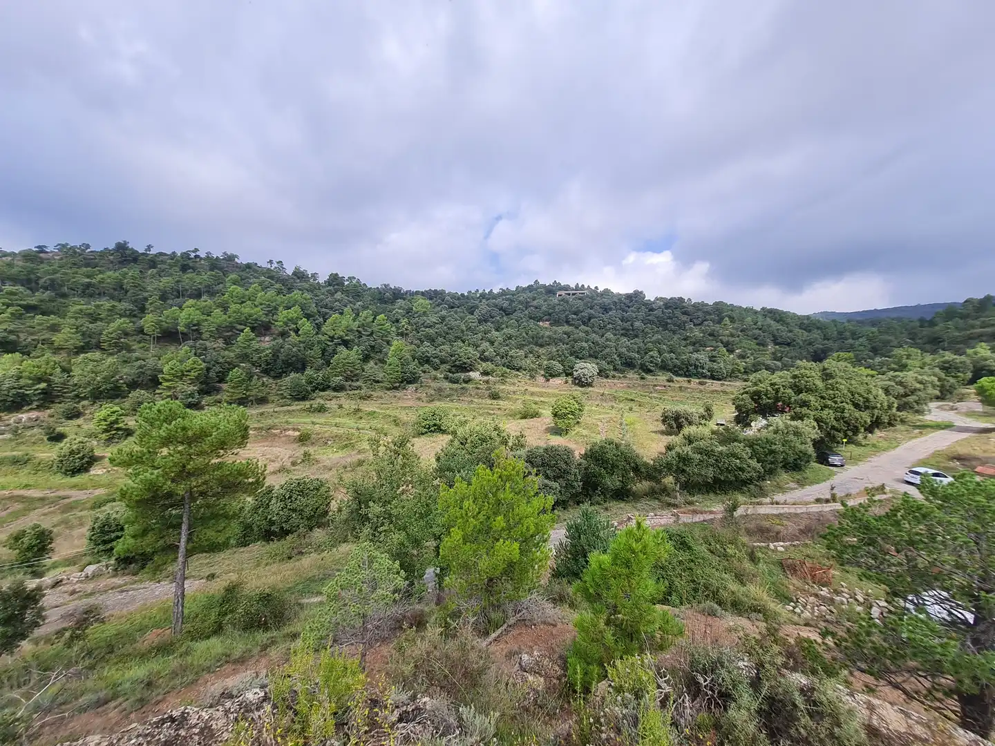 Country homes for sale in Olvan