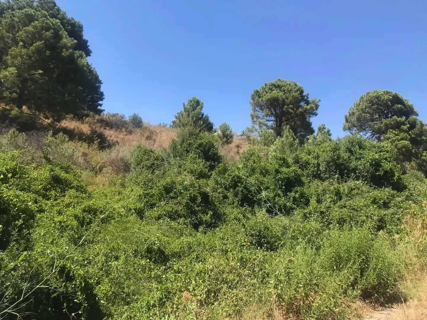 Grundstücke zum Verkauf in Estepona