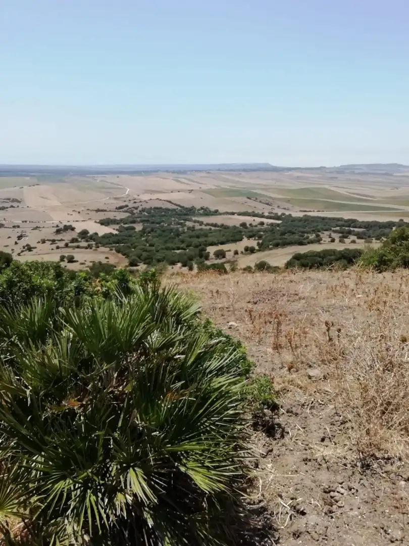 Casa rústica en venda a Medina Sidonia, imagen 10