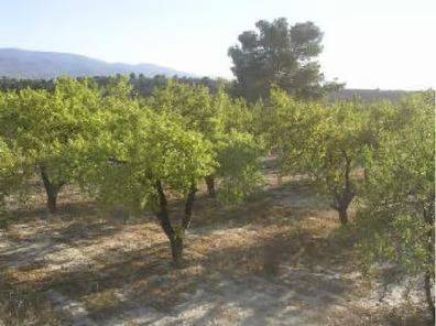 Terreno en Venta en Somontín