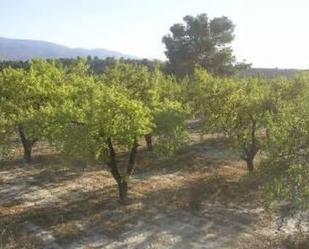 Land for sale in Somontín
