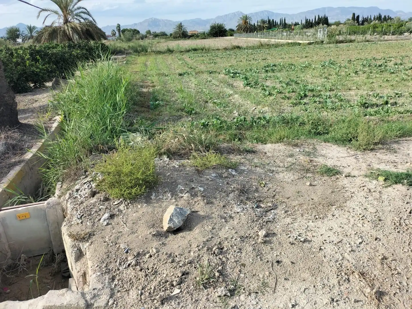 Rural land for sale in Cox, imagen 2