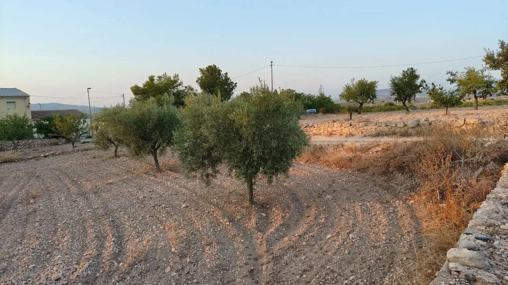 Lands and plots for sale in Abanilla, imagen 5