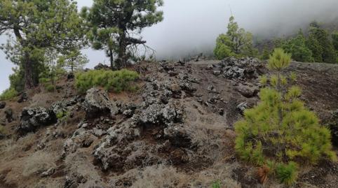 Photo 2 of Land for sale in Las Manchas Polígono 53, El Paso, Santa Cruz de Tenerife